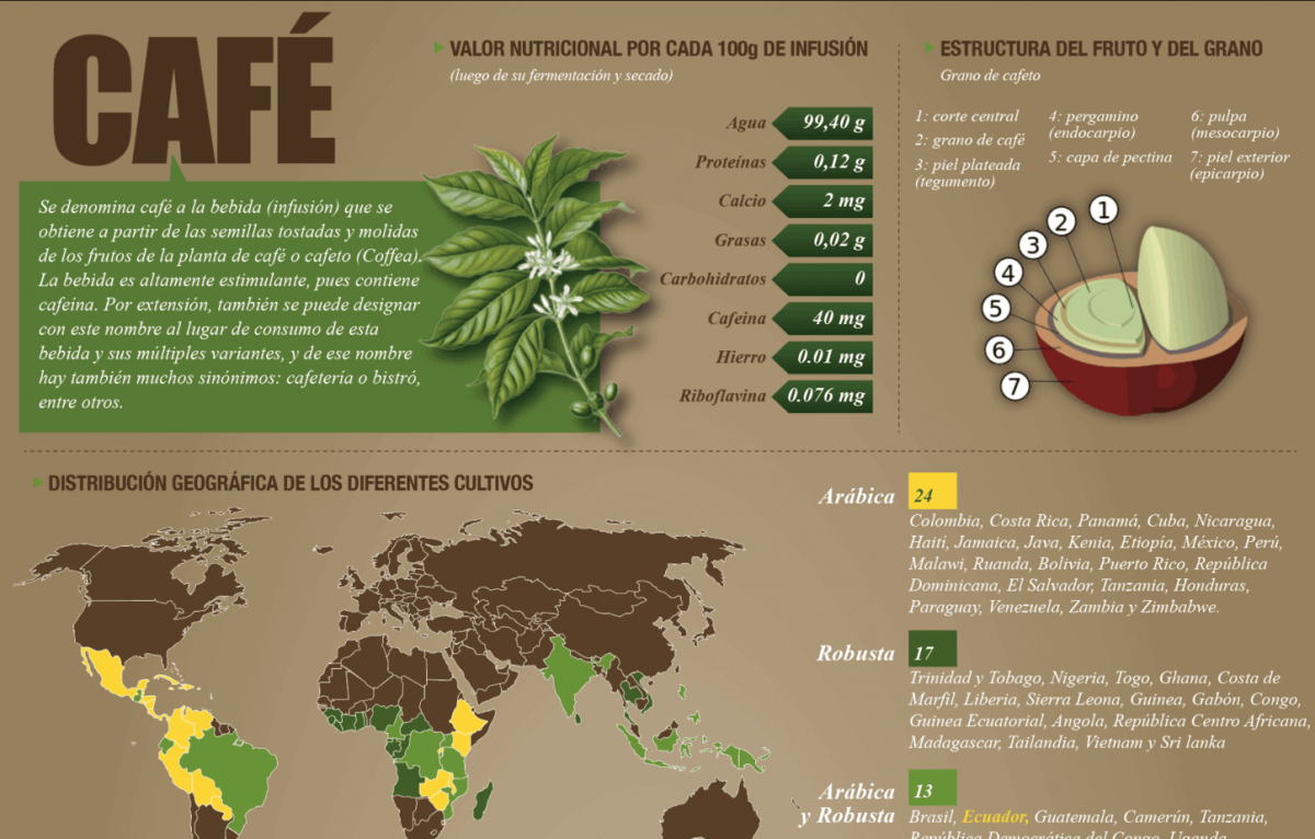 INFOGRAFÍA La exportación de café cae en el gobierno de Moreno