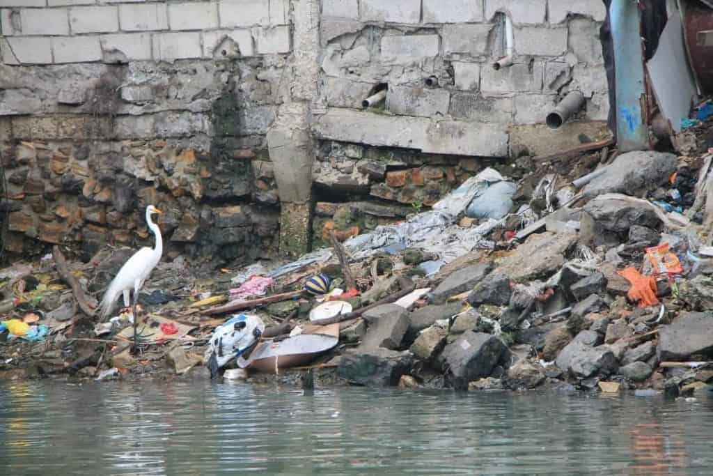 Estero Salado, Guayaquil