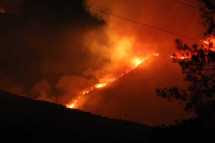 Incendio forestal en el cerro Casitagua