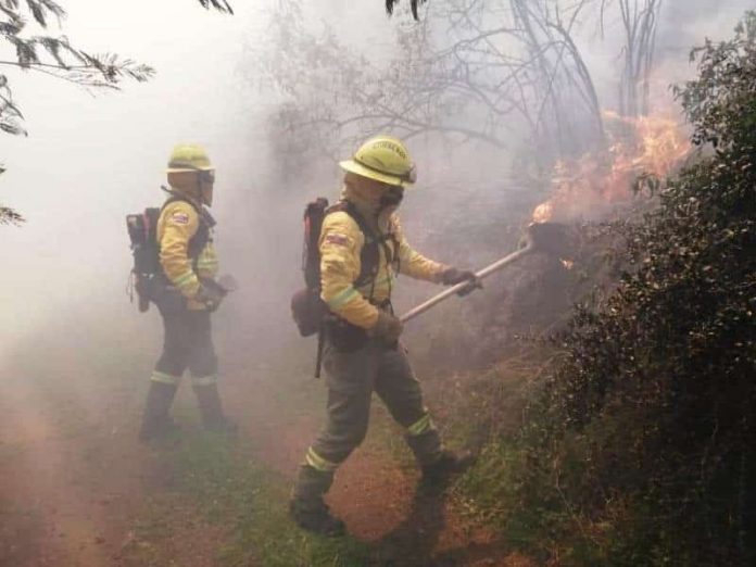 Bomberos extinguiendo incendio