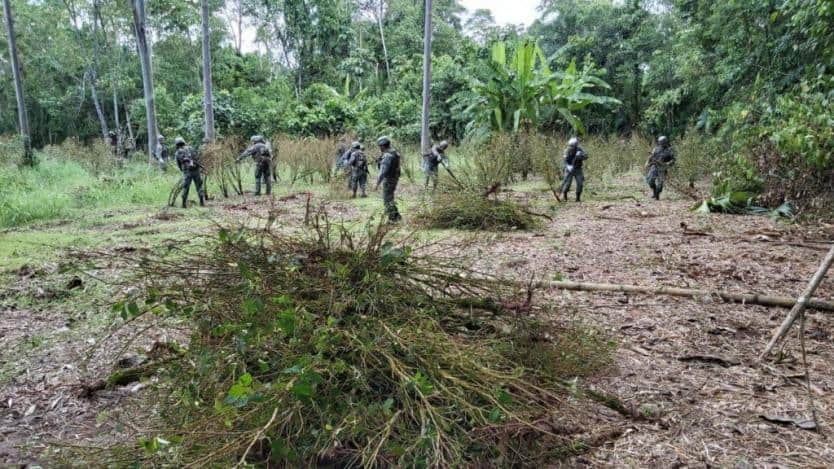 ejército en la selva fronteriza