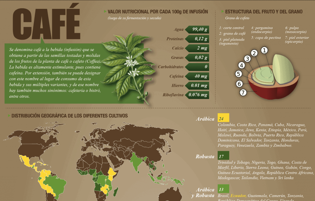 Imagen de la infografía del café y datos del mundo