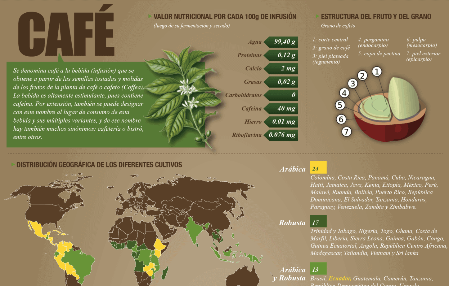 InfografÍa La Exportación De Café Cae En El Gobierno De Moreno