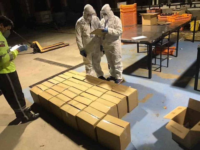 Decomisan 1.200 frascos de falso jarabe para curar el Covid-19 en Ambato