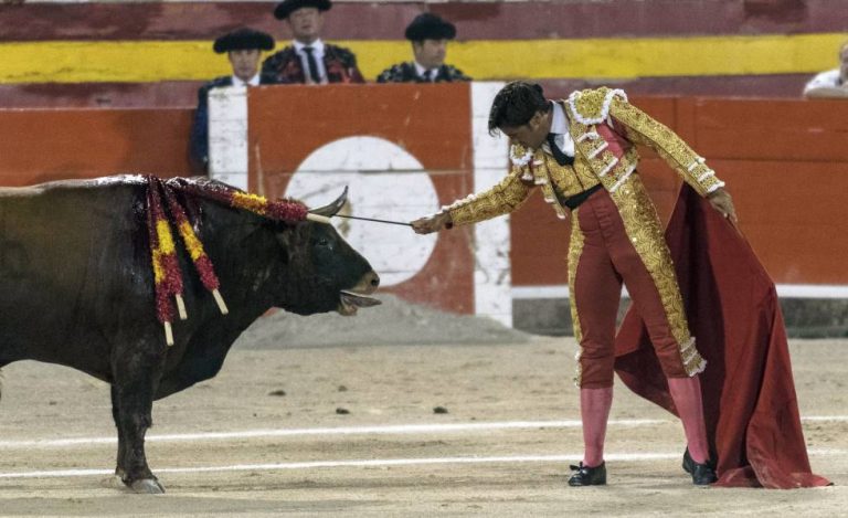Concejo de Quito elimina ley sobre toros del Código Municipal