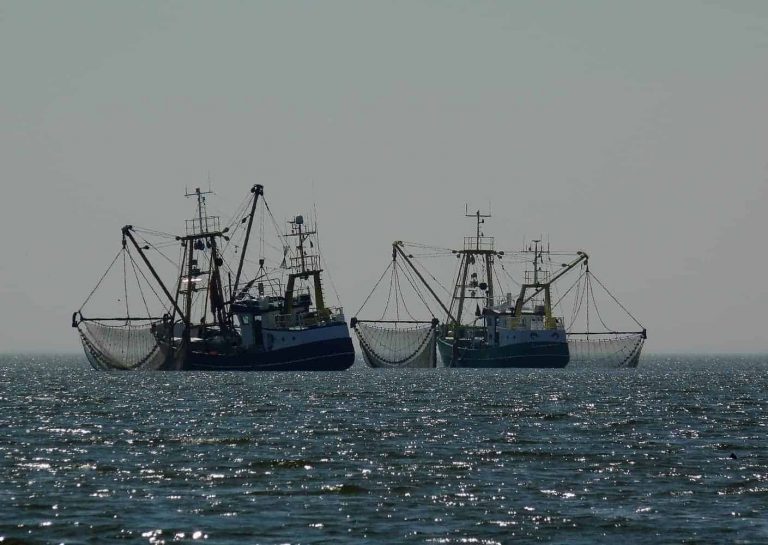 Defensa niega la presencia de buques extranjeros en aguas nacionales (audio)