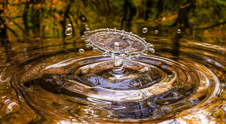 El agua se siembra y Cosecha en la Sierra ecuatoriana