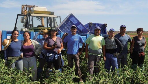 https://www.google.com/url?sa=i&url=http%3A%2F%2Fprevencionar.com.mx%2F2014%2F02%2F06%2Fquienes-son-trabajadores-del-campo%2F&psig=AOvVaw1wrrpMgn0gSjAS81GwFQ1n&ust=1603559450092000&source=images&cd=vfe&ved=0CAIQjRxqFwoTCLj3-syay-wCFQAAAAAdAAAAABAD