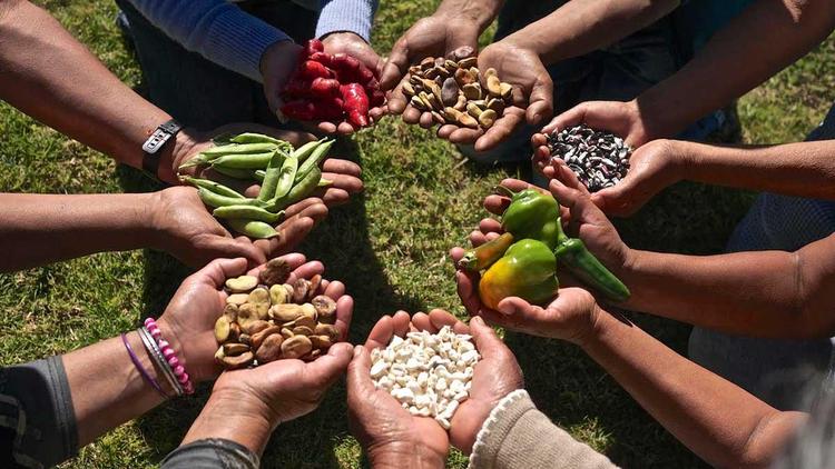 soberanía alimentaria