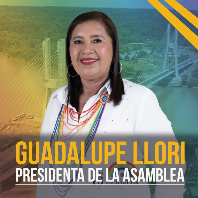Pachakutik obtiene la Presidencia de la Asamblea Nacional
