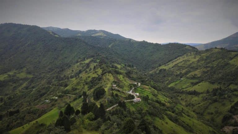 Prefectura de Pichincha y representantes internacionales cuidan el Chocó Andino