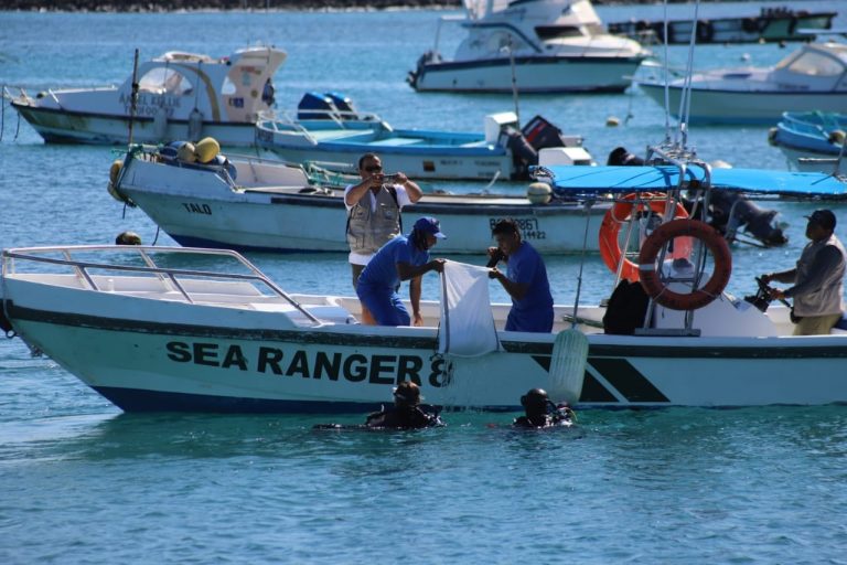 Sociedad civil lideró actividades de limpieza costera en Galápagos
