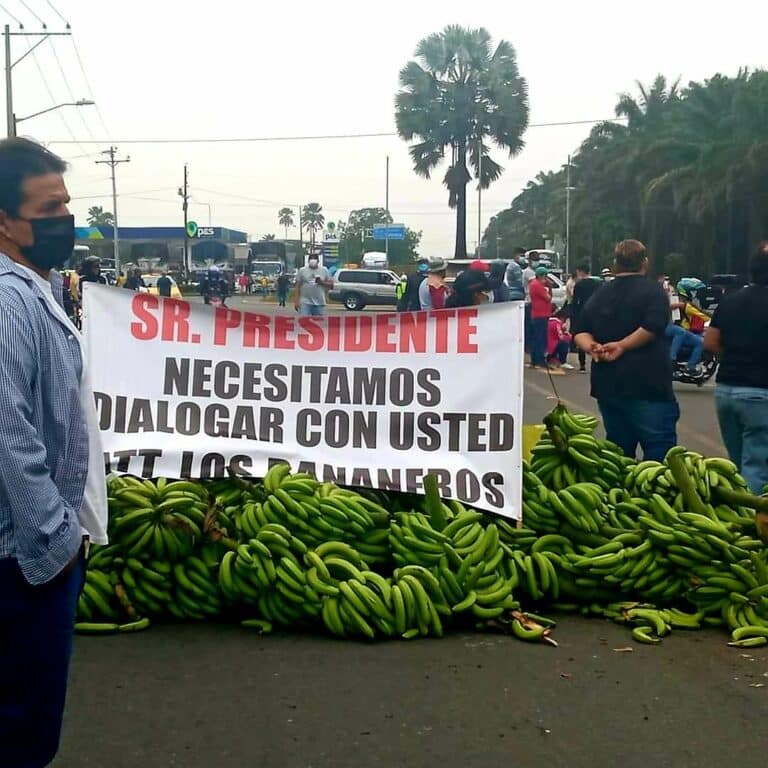 Productores de banano analizan nuevas acciones si el Gobierno no cumple los acuerdos