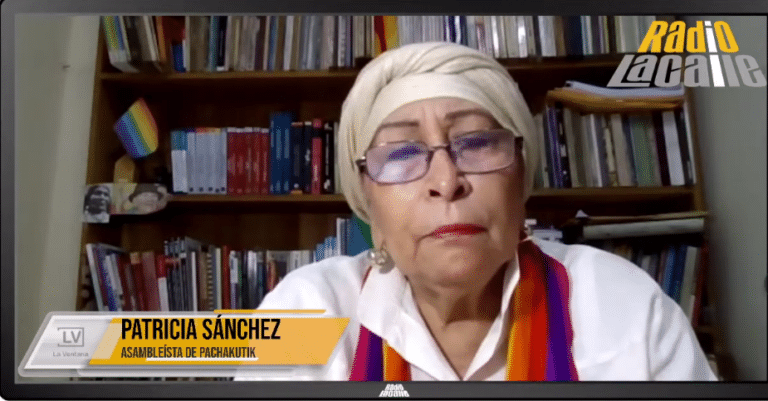 “No creo que logremos los votos para la destitución de los vocales”, dice asambleísta de Pachakutik