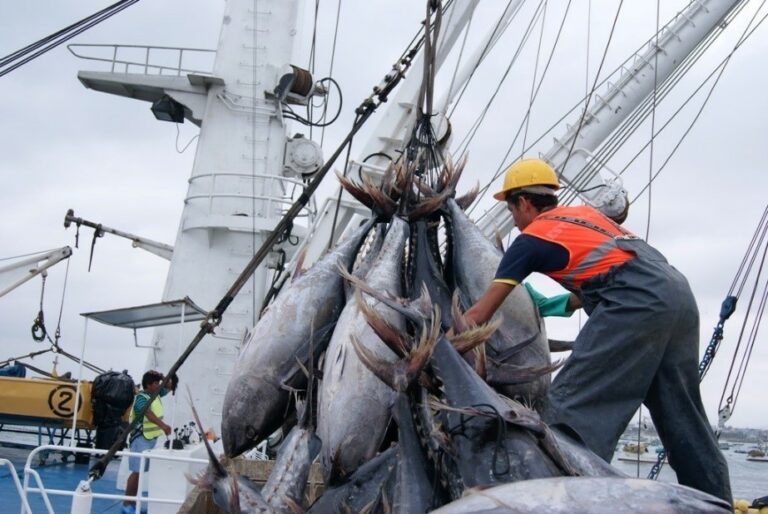 Focalización del subsidio al combustible no incluye al sector pesquero