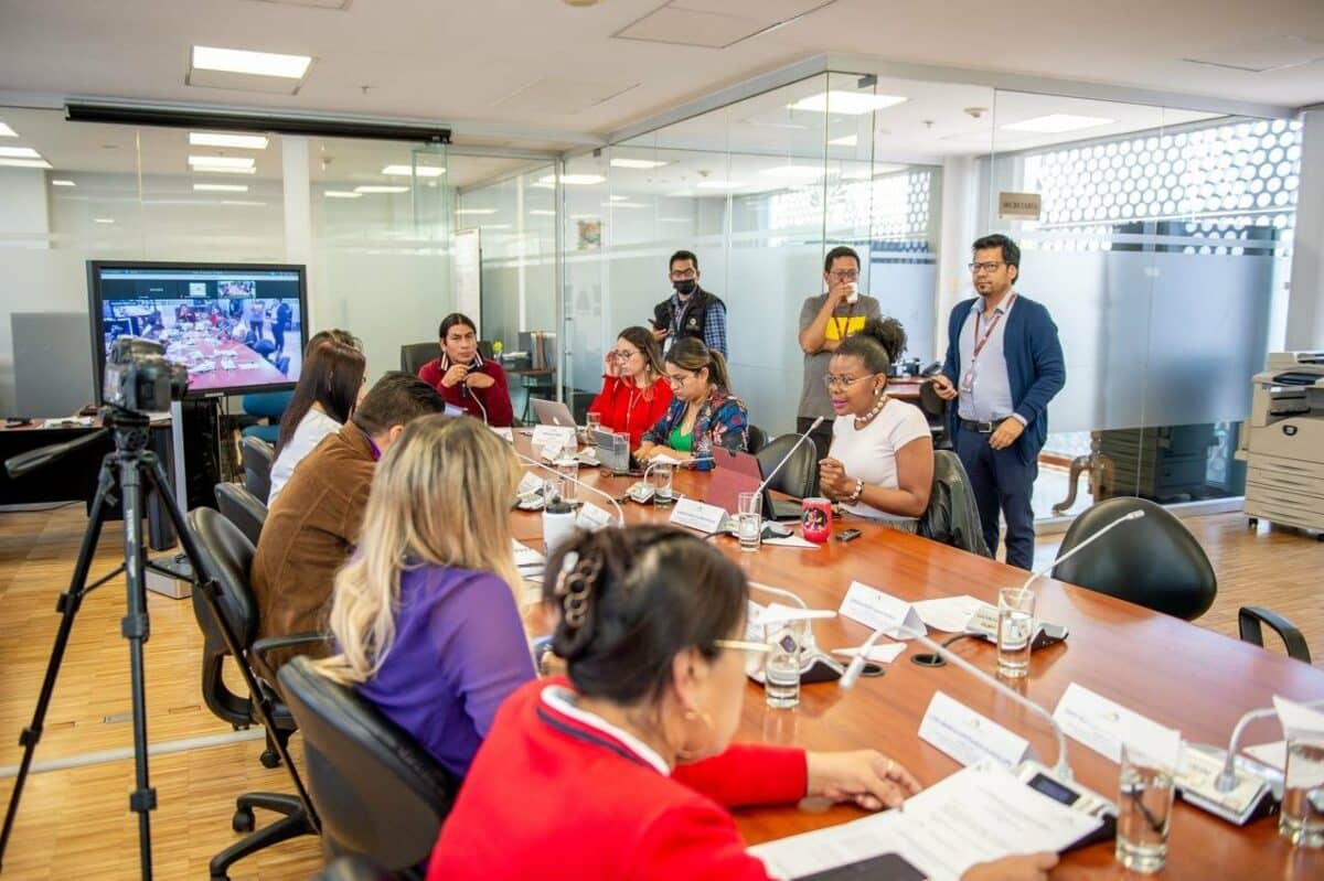 Sesión 132 de la Comisión de Garantias Constitucionales, Derechos Humanos, Derechos Colectivos y la Interculturalidad. Fuente: Paola Cabezas.