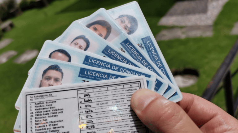 USD 1.200 cuesta una licencia de conducir fraudulenta