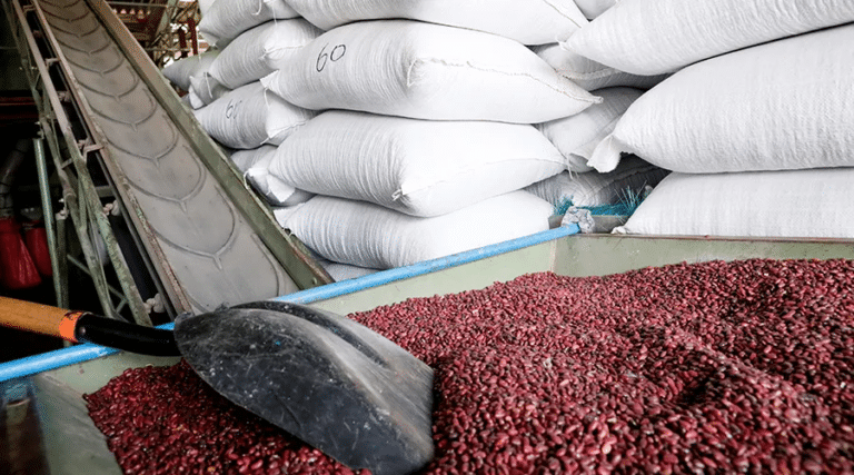 Con el fenómeno El Niño encima, Ecuador no tiene reserva de alimentos