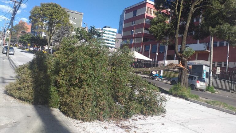 Afectaciones en Quito por fuertes ráfagas de viento