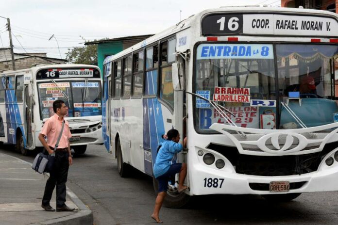 conductor bus muerto robo