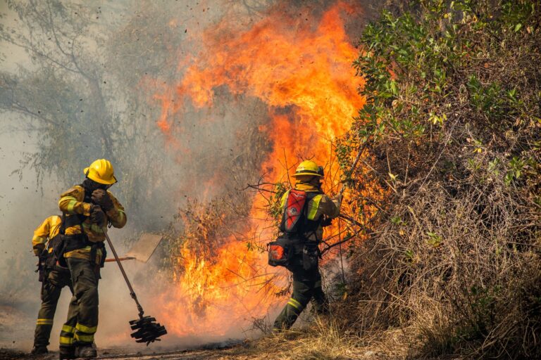 Solo en agosto se registraron 115 incendios forestales en Quito