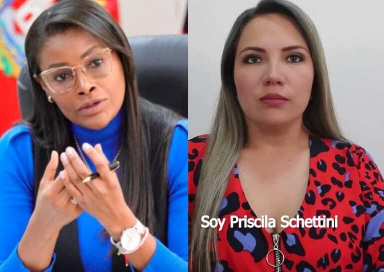 Veeduría Internacional detectó «casos de plagio» en los trabajos de Salazar