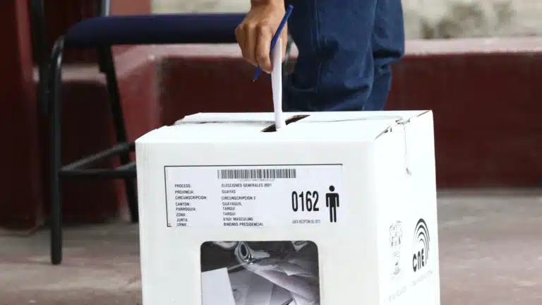 Elecciones anticipadas 2023: ¿Qué debe saber antes de ir a votar?