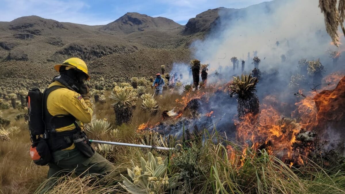 Foto: Cuerpo de Bomberos