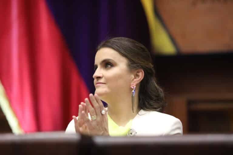 Millonarios y empresarios: Vicepresidenta Pinto reporta un patrimonio de más de USD 4 millones