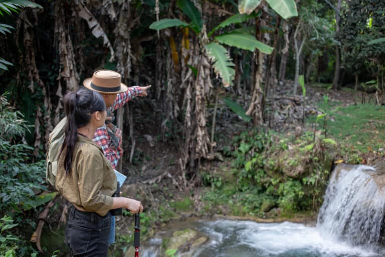 ¿Protección ambiental o avance privatizador?