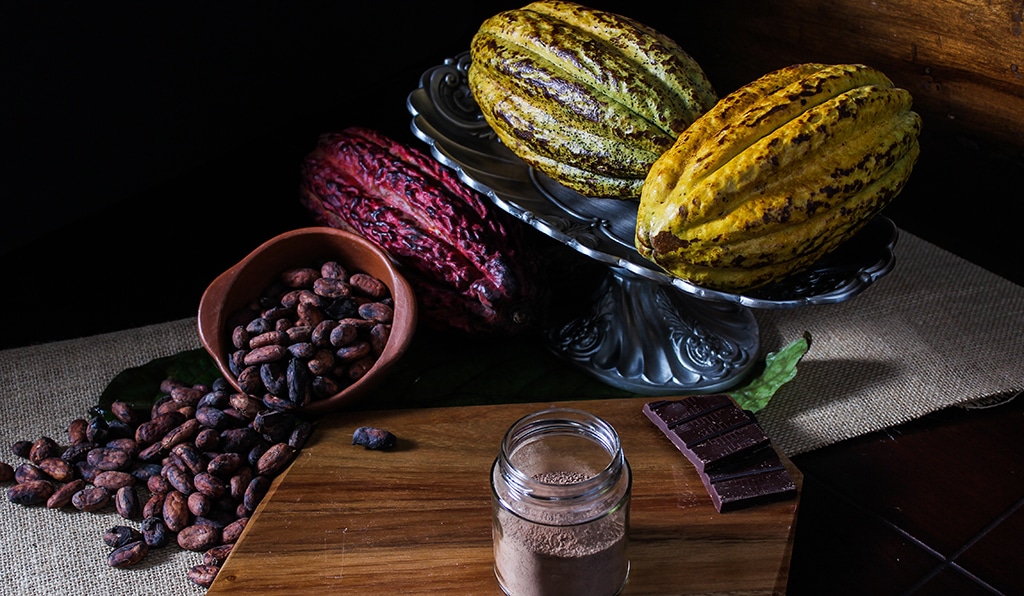 El mejor cacao del mundo es ecuatoriano y conquista nuevos mercados cada día