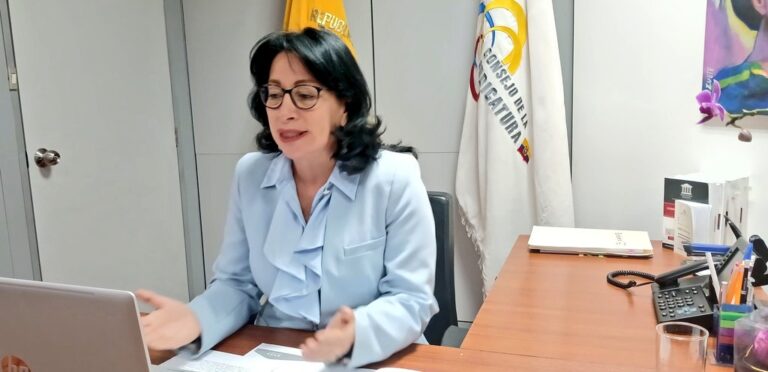 Vocal de la Judicatura Solanda Goyes niega causal para un juicio político en su contra